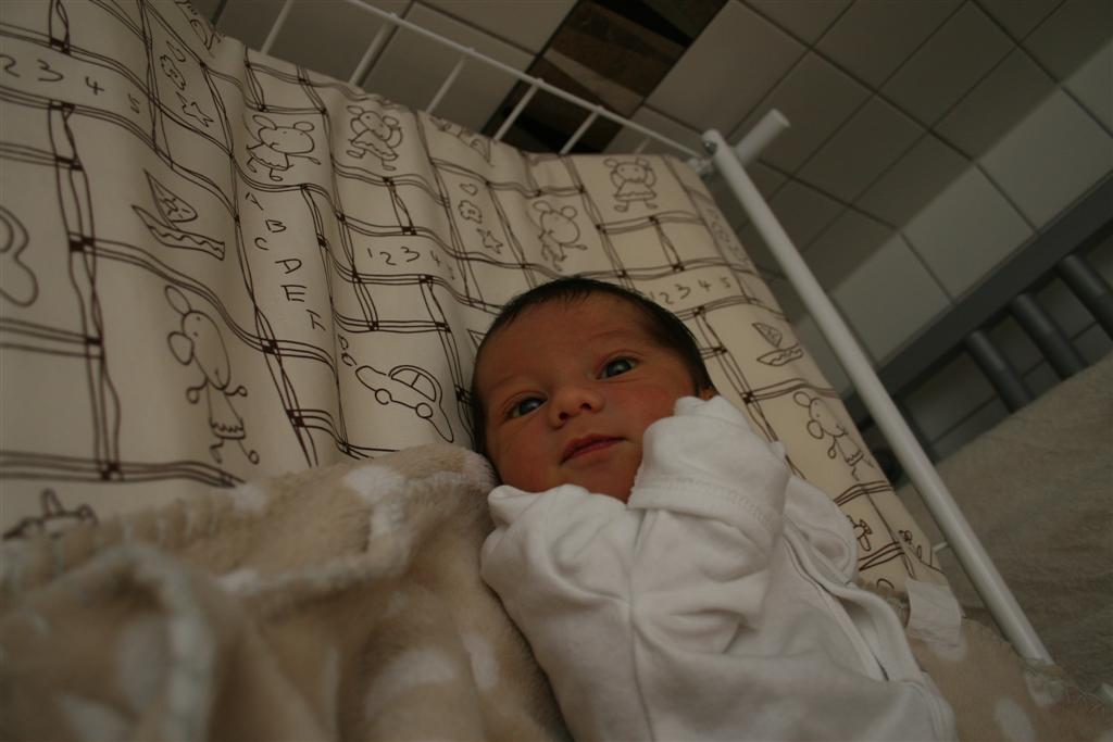 IMG 4589 (Large)